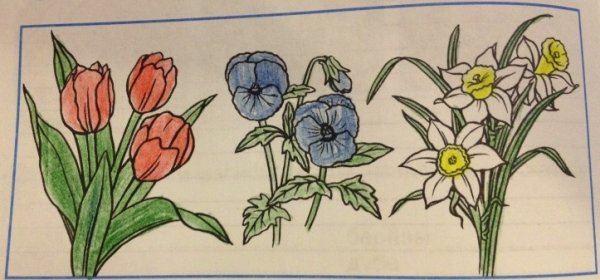 Растения на клумбе 1 класс рисование