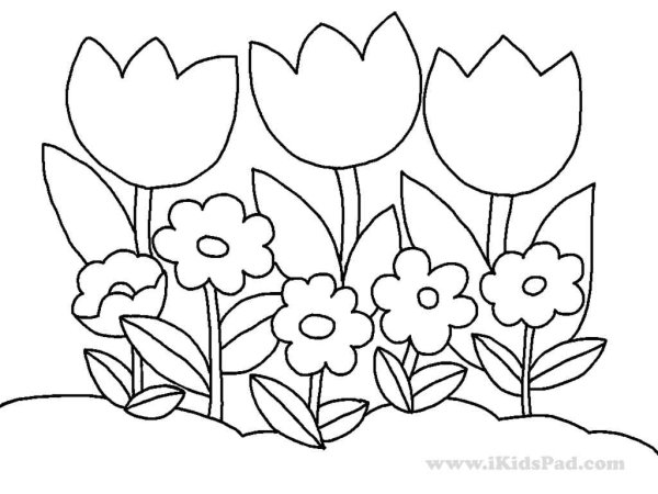 Клумба с цветами раскраска