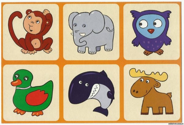 Карточки для малышей