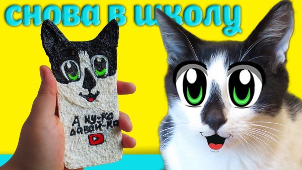 Кот малыш и Мурка