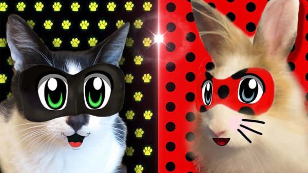 Кролик Баффи с канала а ну ка давайка