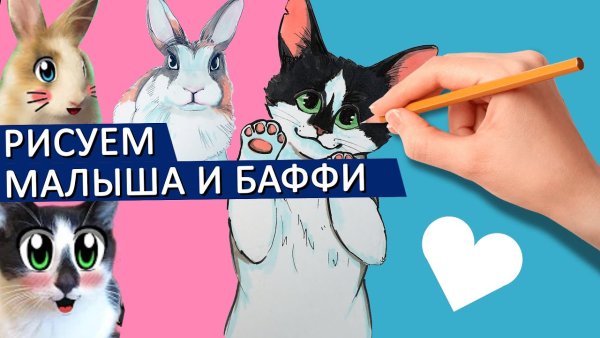 Кот малыш и кролик Баффи