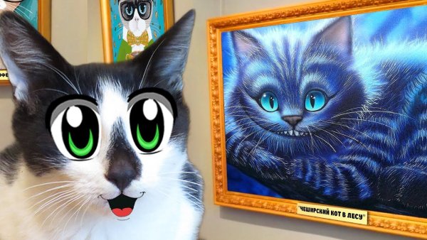 Кошка Мурка Анука давайка