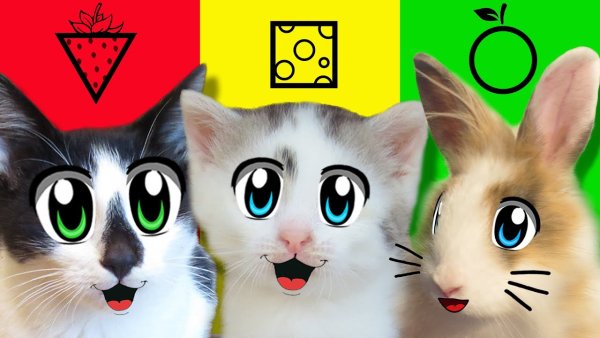 Кот малыш Анука давайка