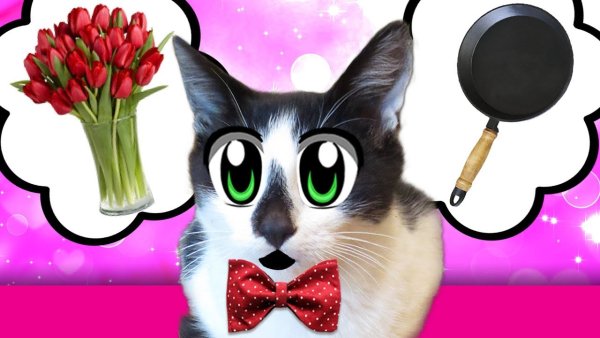 А ну ка давайка а ну ка давайка