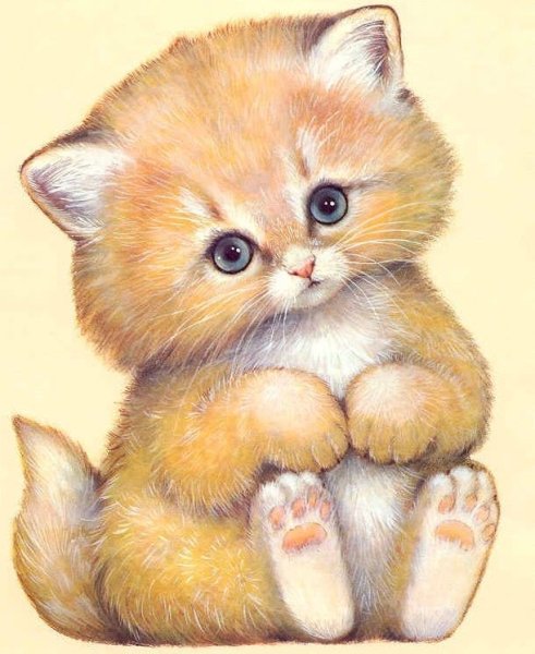 Котенок рисунок