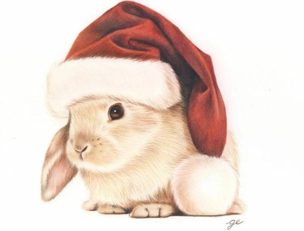 Новогодний заяц рисунок