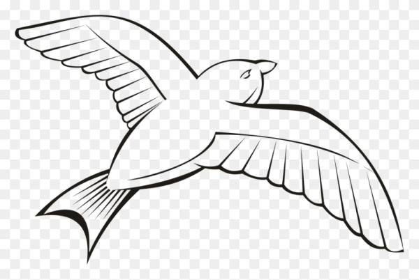 Птица в полете рисунок