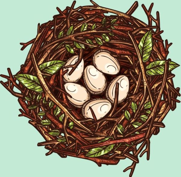 Нарисовать гнездо