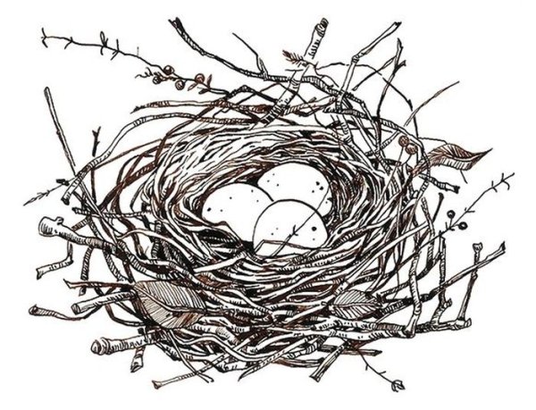 Нарисовать гнездо