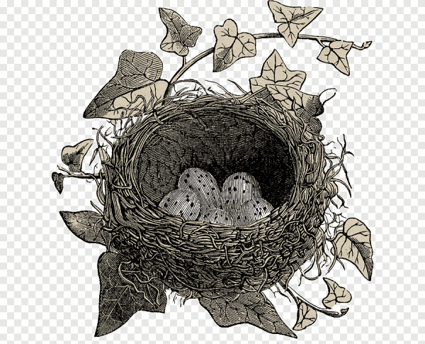 Гнездо живопись