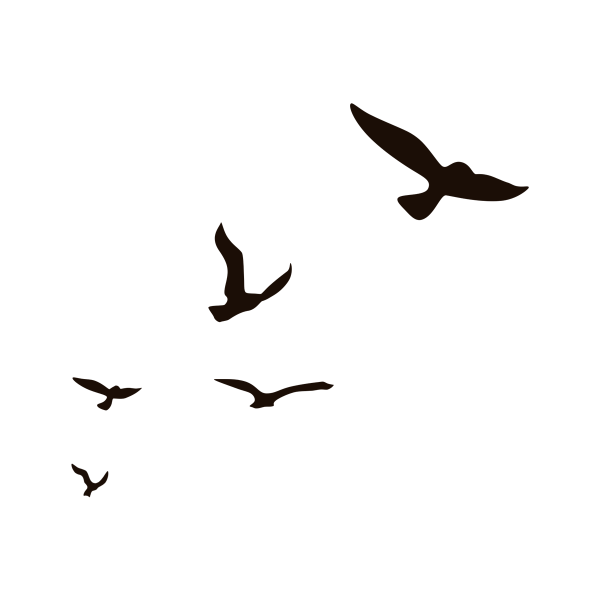 Силуэт летящей птицы