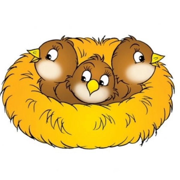 Птенцы в гнезде для детей