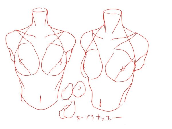 Анатомия груди для рисования