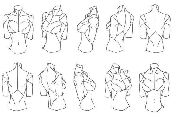 Туториалы по рисованию плеч