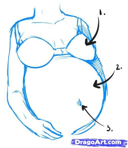 Большая грудь для рисования