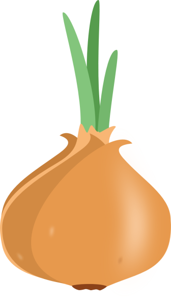 Лук овощ