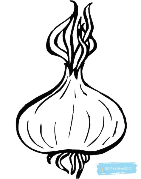 Лук картинка для детей раскраска