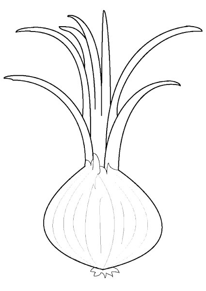 Раскраски лука репчатого для детей