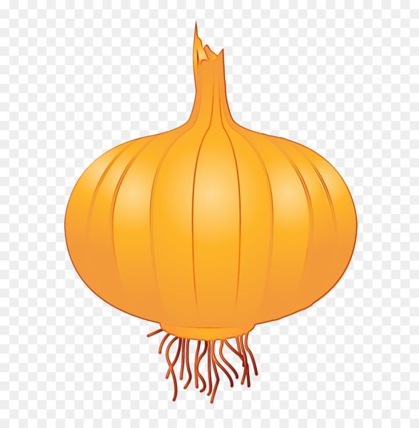 Луковица для детей