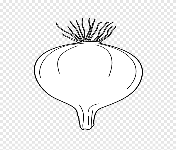 Свекла раскраска