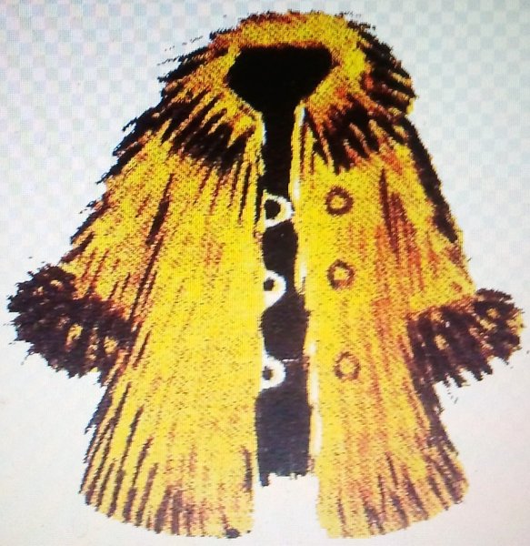 Hayden Williams шуба