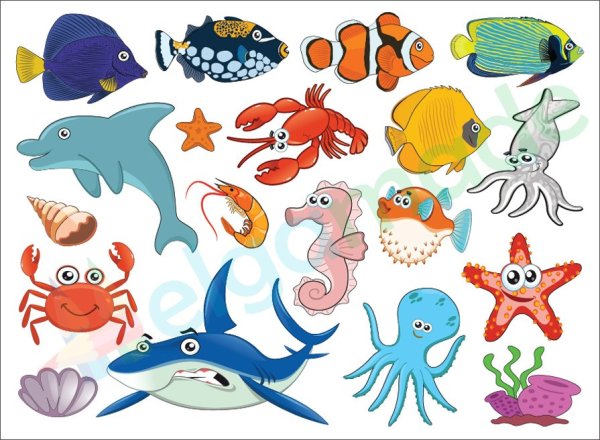 Набор пазлов Дрофа-Медиа ДСМ морские животные