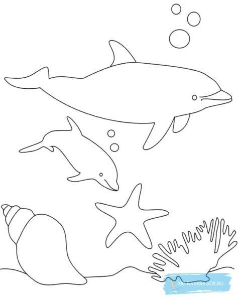 Морская звезда эскиз