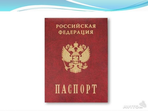 Загранпаспорт рисунок