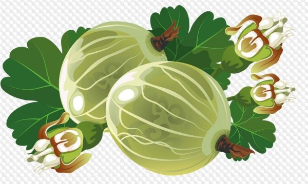 Крыжовник фон