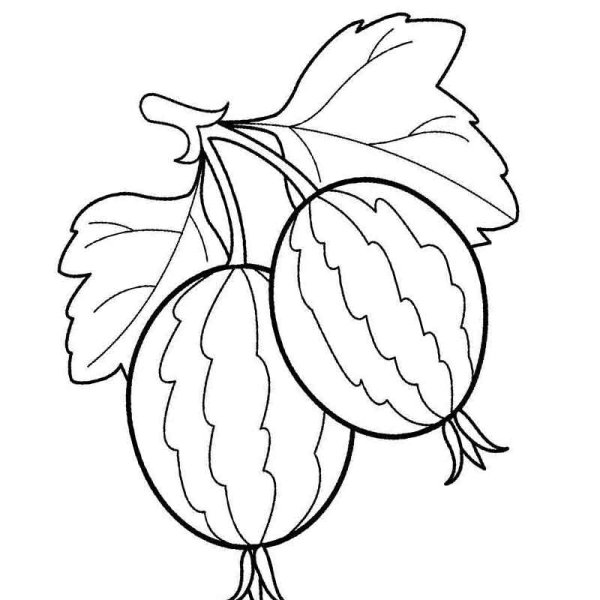 Ягоды раскраска для детей