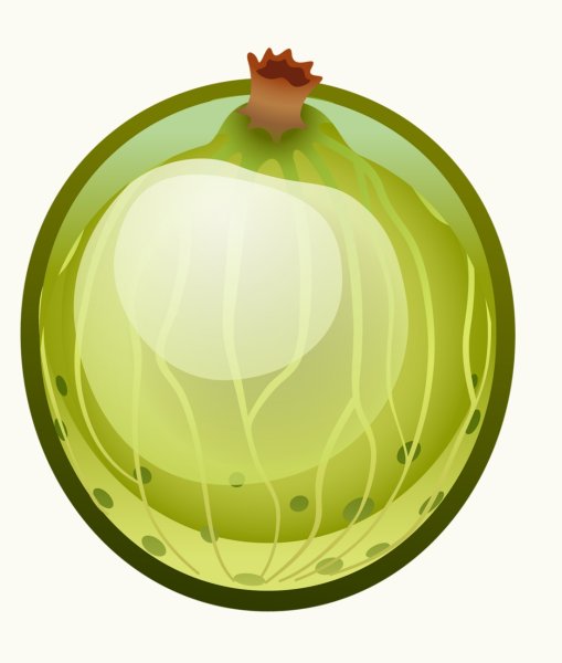 Крыжовник для детей