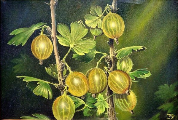 Художник Федоров крыжовник