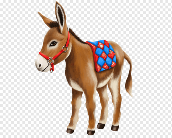 Осел для детей