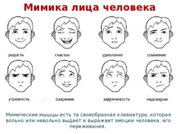 Невербальная коммуникация мимика