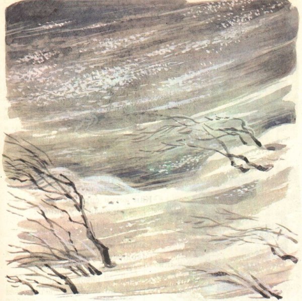 Буран Сергей Аксаков книга