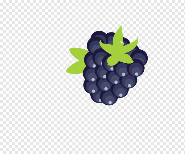 Ежевика мультяшнаямультяшная