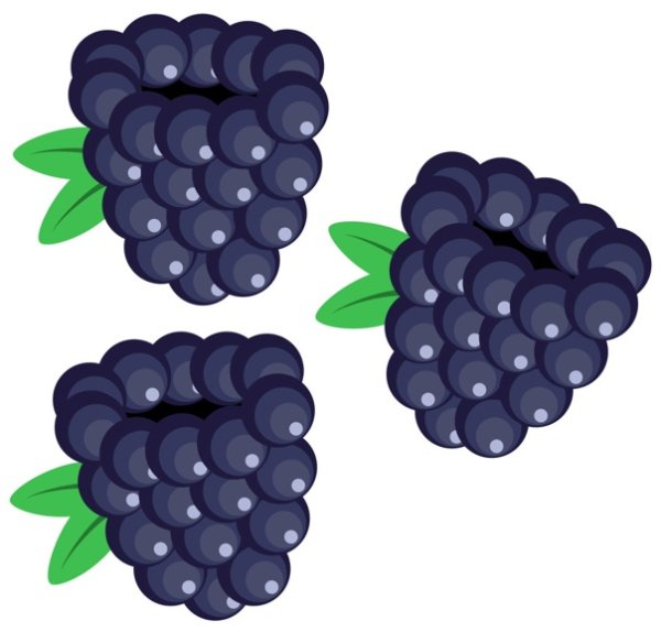 Ежевика мультяшная