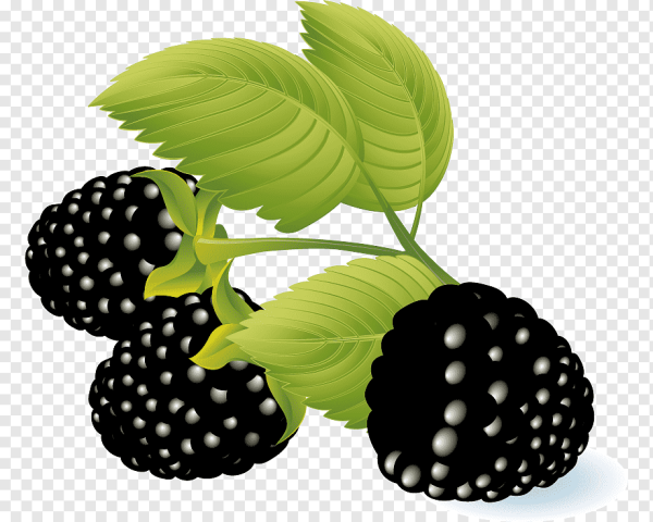 Ежевика мультяшная