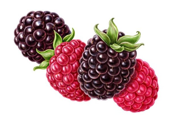 Ежевика фруктов для детей