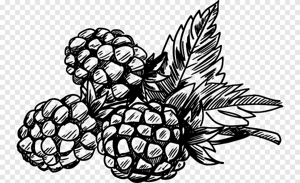 Стилизация ягод