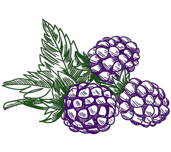 Малина стилизация