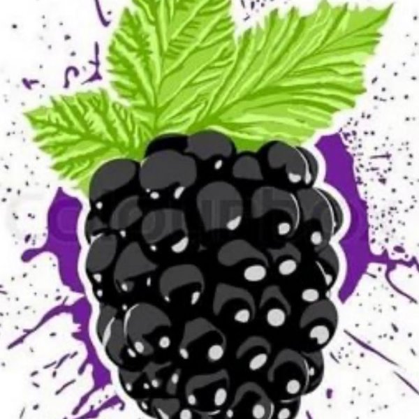 Ежевика арт