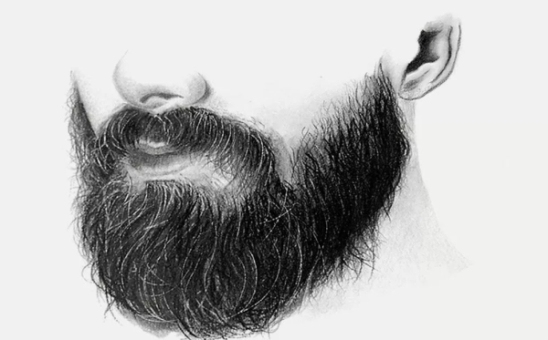 Борода на белом фоне