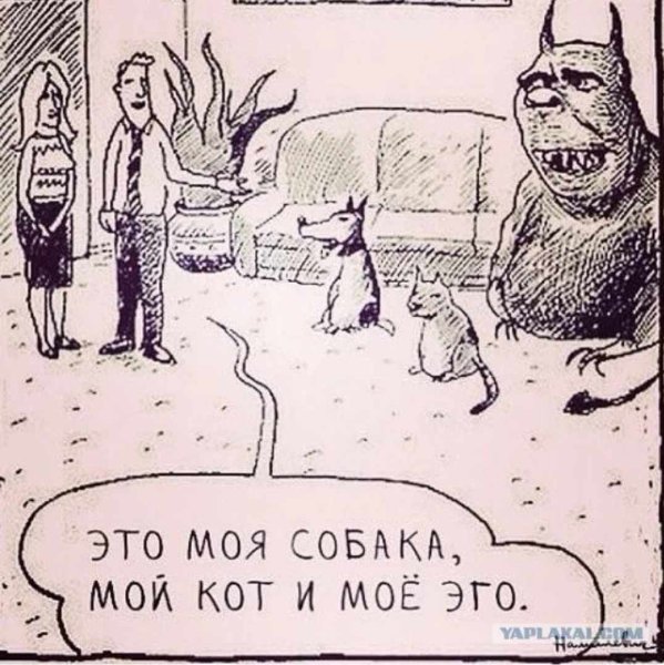 Эго прикол