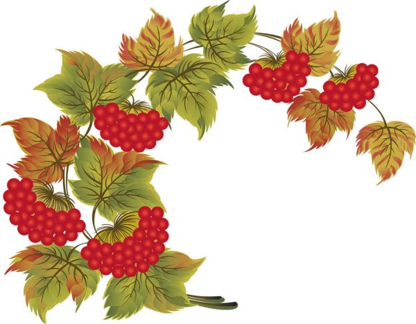 Калина орнамент