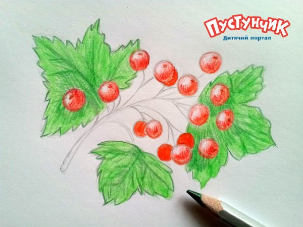 Калина рисунок для детей