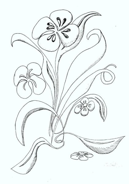 Каменный цветок карандашом