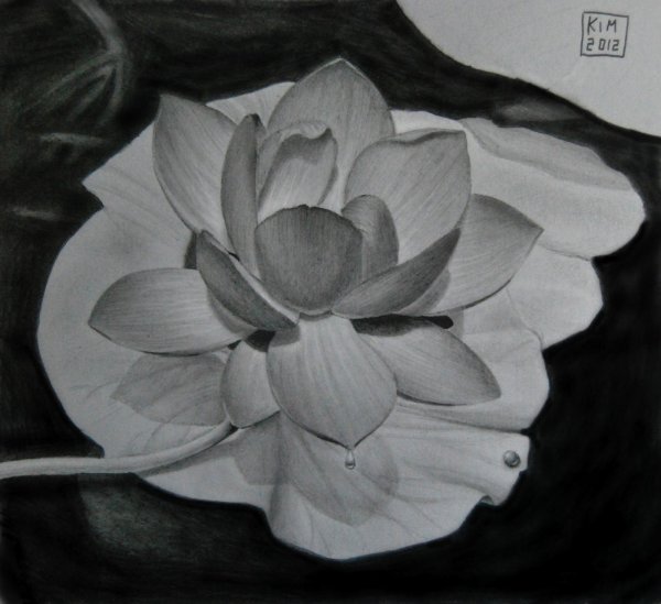 Объемные цветы карандашом