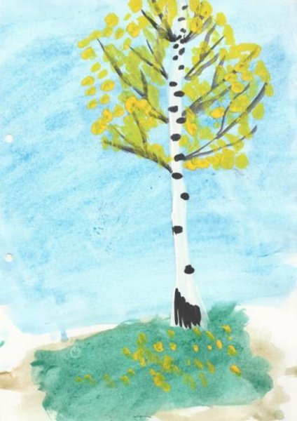 Рисование березы в детском саду